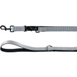 Training leash Abbi Grey