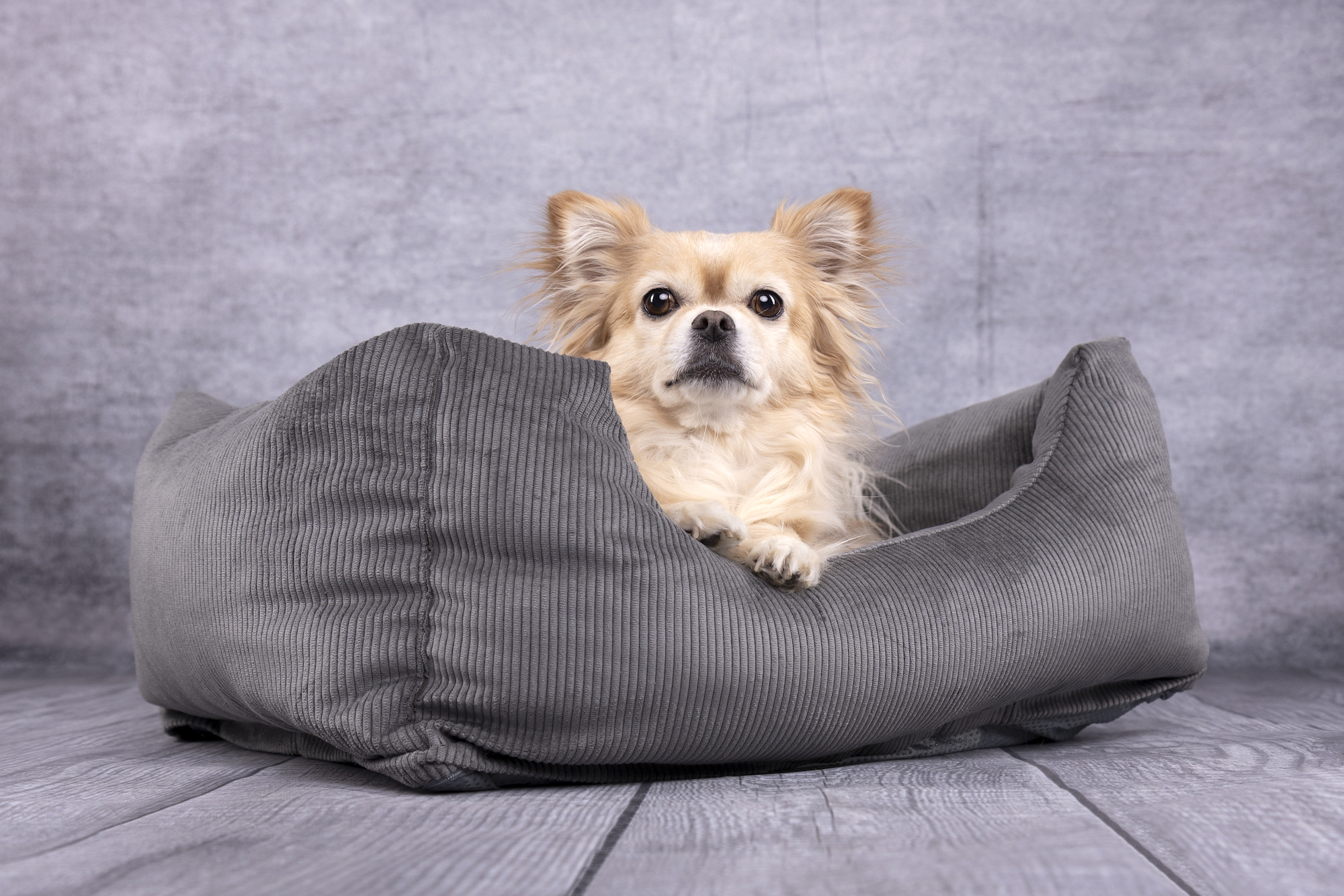 Flamingo Basket Celeste Rectangle Grey