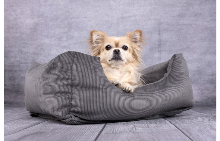 Flamingo Basket Celeste Rectangle Grey