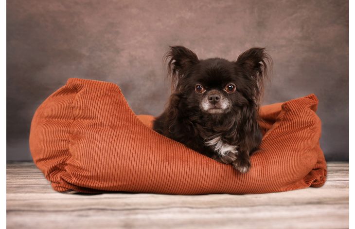 Flamingo Basket Celeste Rectangle Cognac