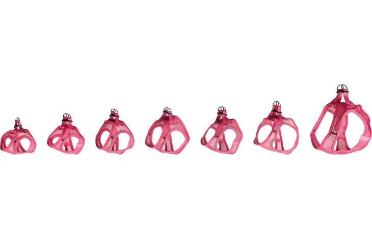 Flamingo Harness Step&Go Bento Pink