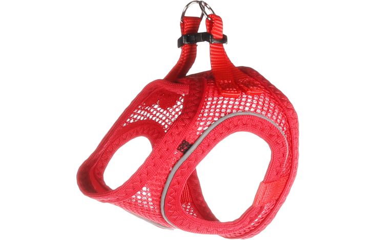 Flamingo Arnés Step&Go Bento Rojo