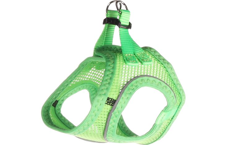 Flamingo Harness Step&Go Bento Green