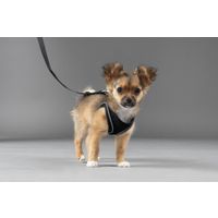 Flamingo Harness Step&Go Bento Black