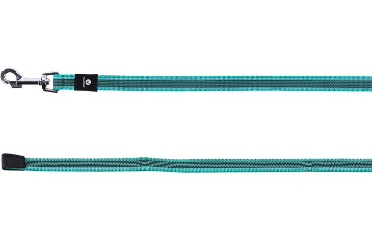 Flamingo Training and tracking leash Xeno Turquoise