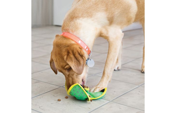 Kong® Kong® Speelgoed Ballistic Hide ’n Treat Bal Meerdere kleuren