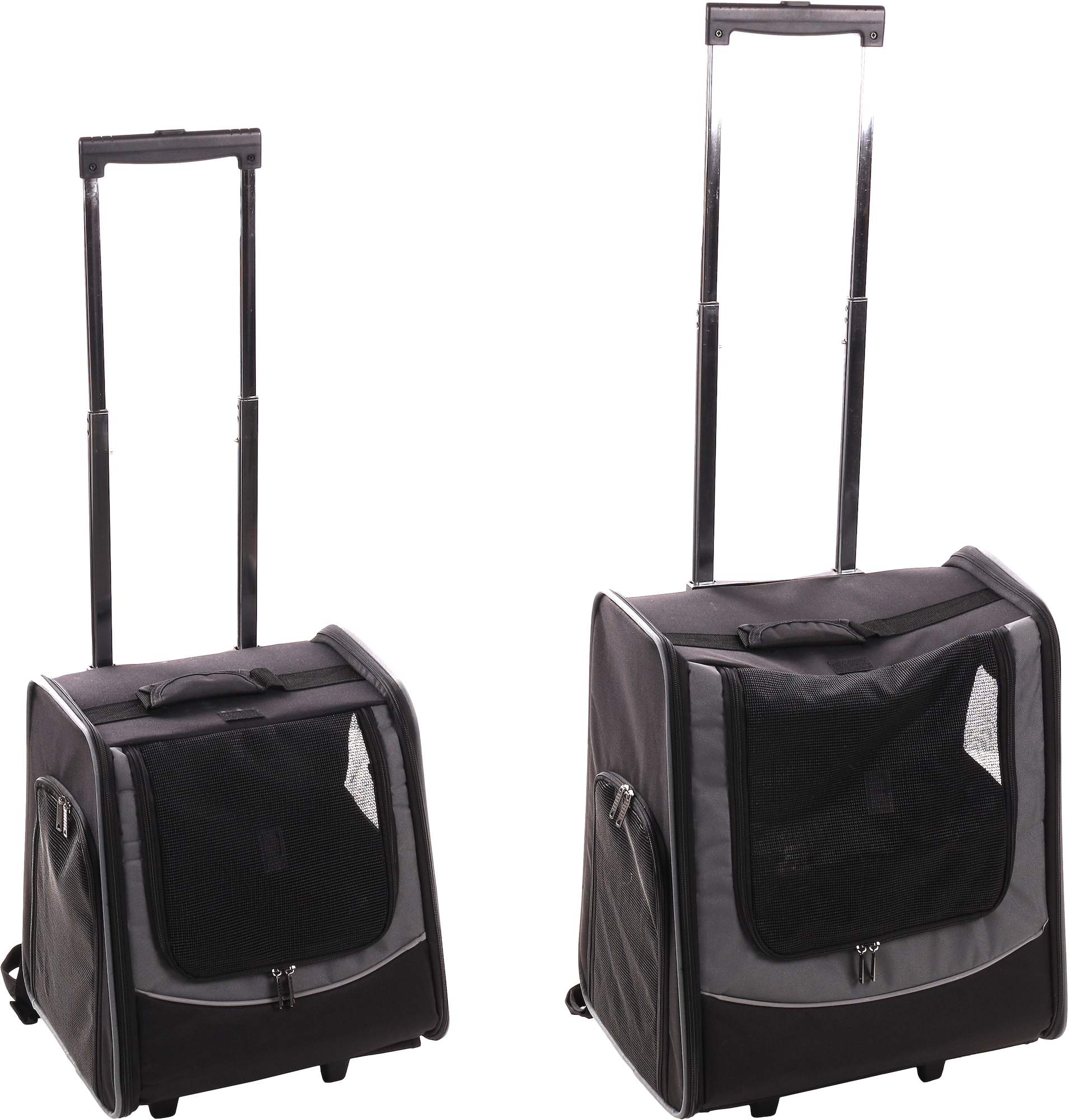 Flamingo Chariot Smart Calypto Noir