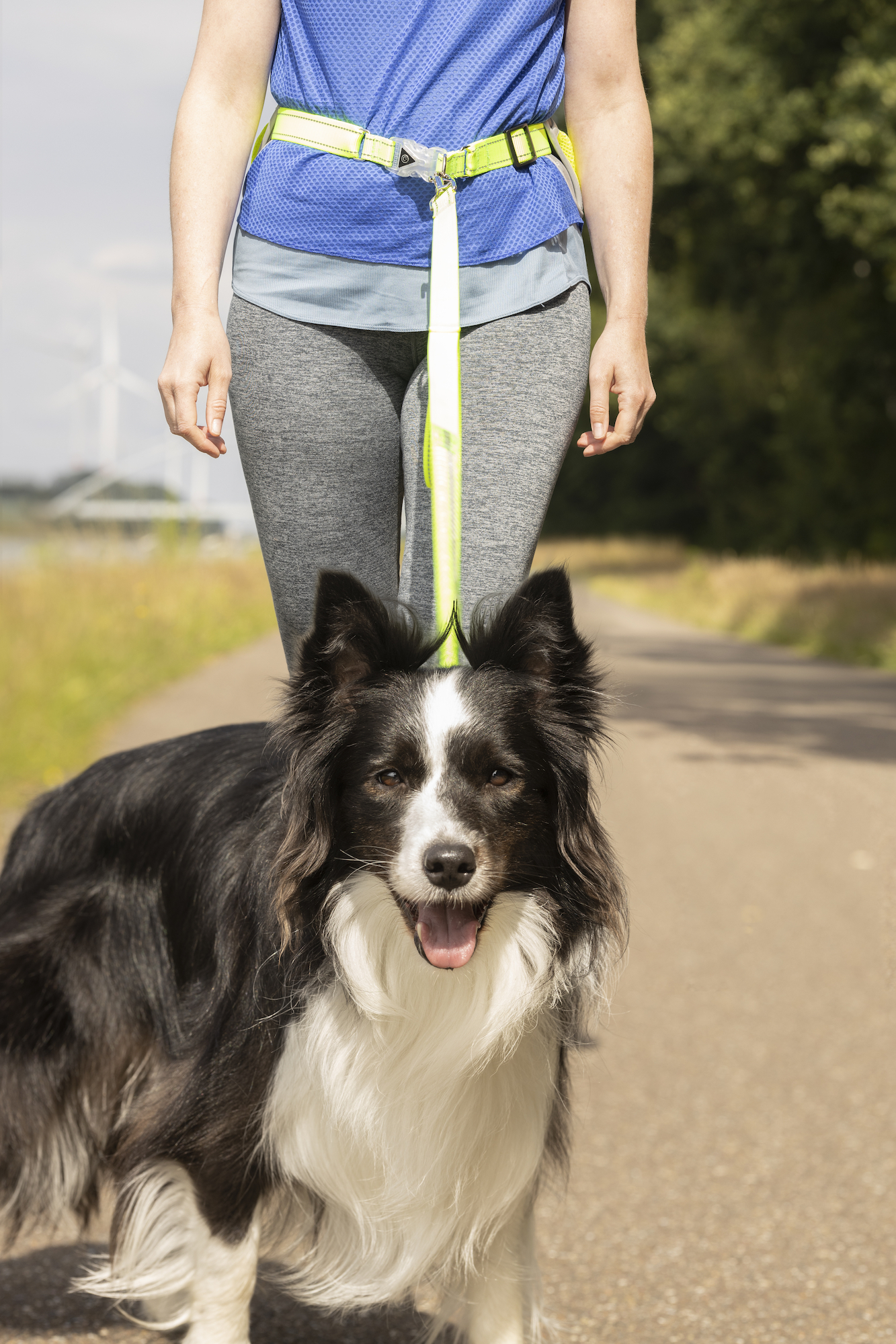 Flamingo Correa para running con correa para cintura Stoffel Amarillo fluo