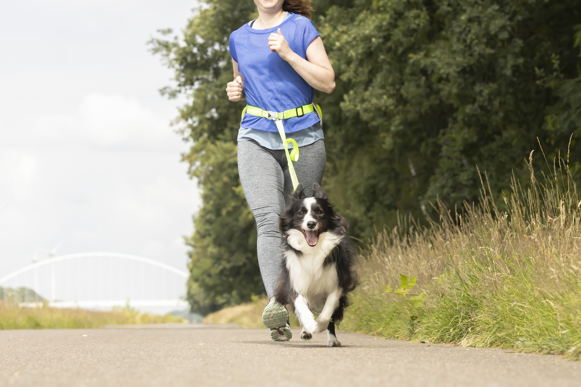 Flamingo Correa para running con correa para cintura Stoffel Amarillo fluo