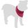 Bandana di raffreddamento Fresk Inou Rosa