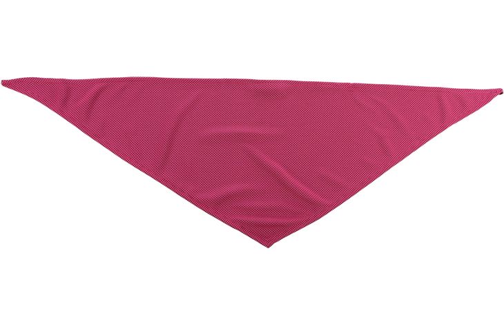 Flamingo Koelbandana Fresk Inou Roze