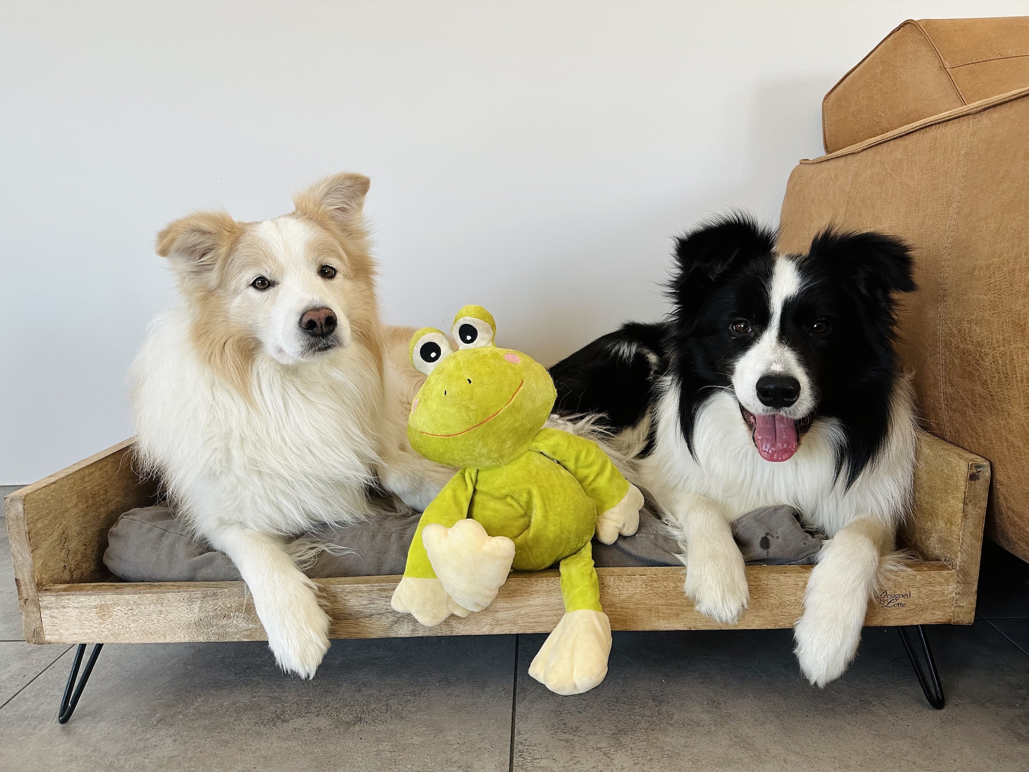 Flamingo Giocattolo Kermi Rana Verde lime