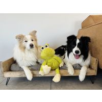 Flamingo Giocattolo Kermi Rana Verde lime