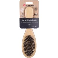 Flamingo Borstel Babu