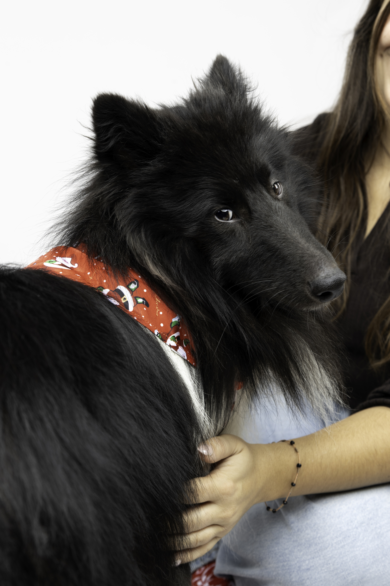 Flamingo Christmas Bandana Mik Red