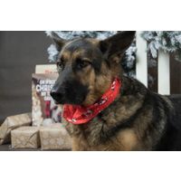 Flamingo Kerst Bandana Mik Rood