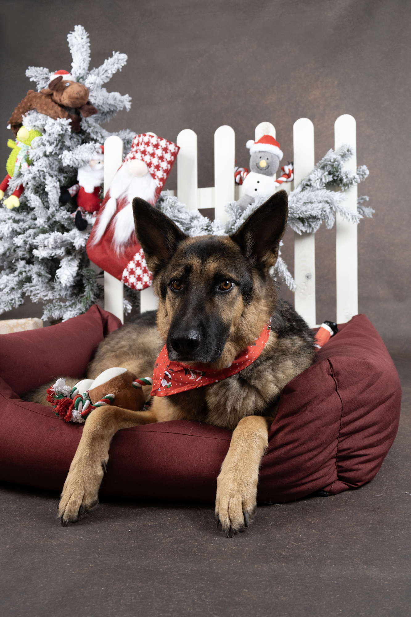 Flamingo Christmas Bandana Mik Red