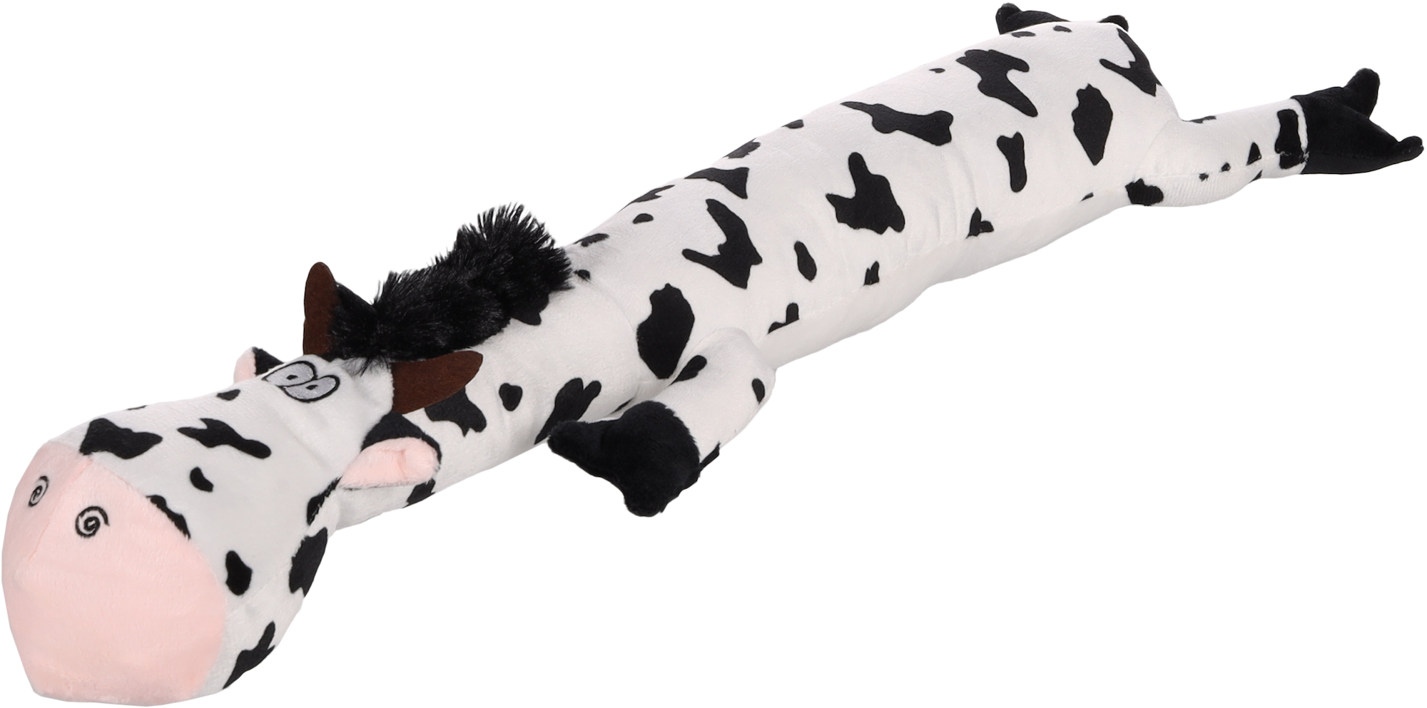 Black and store white cow dog