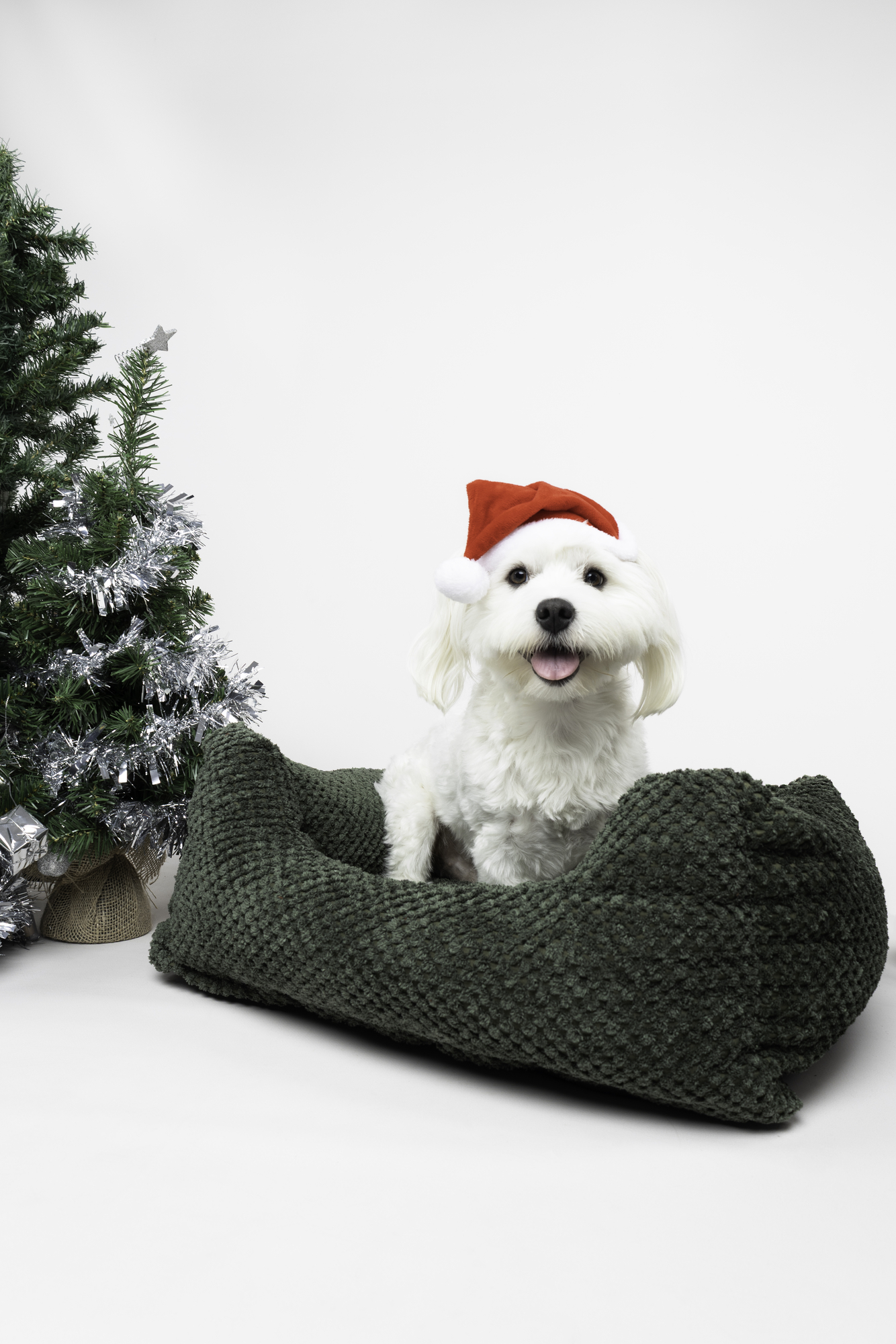 Flamingo Christmas Cap Ponne Red