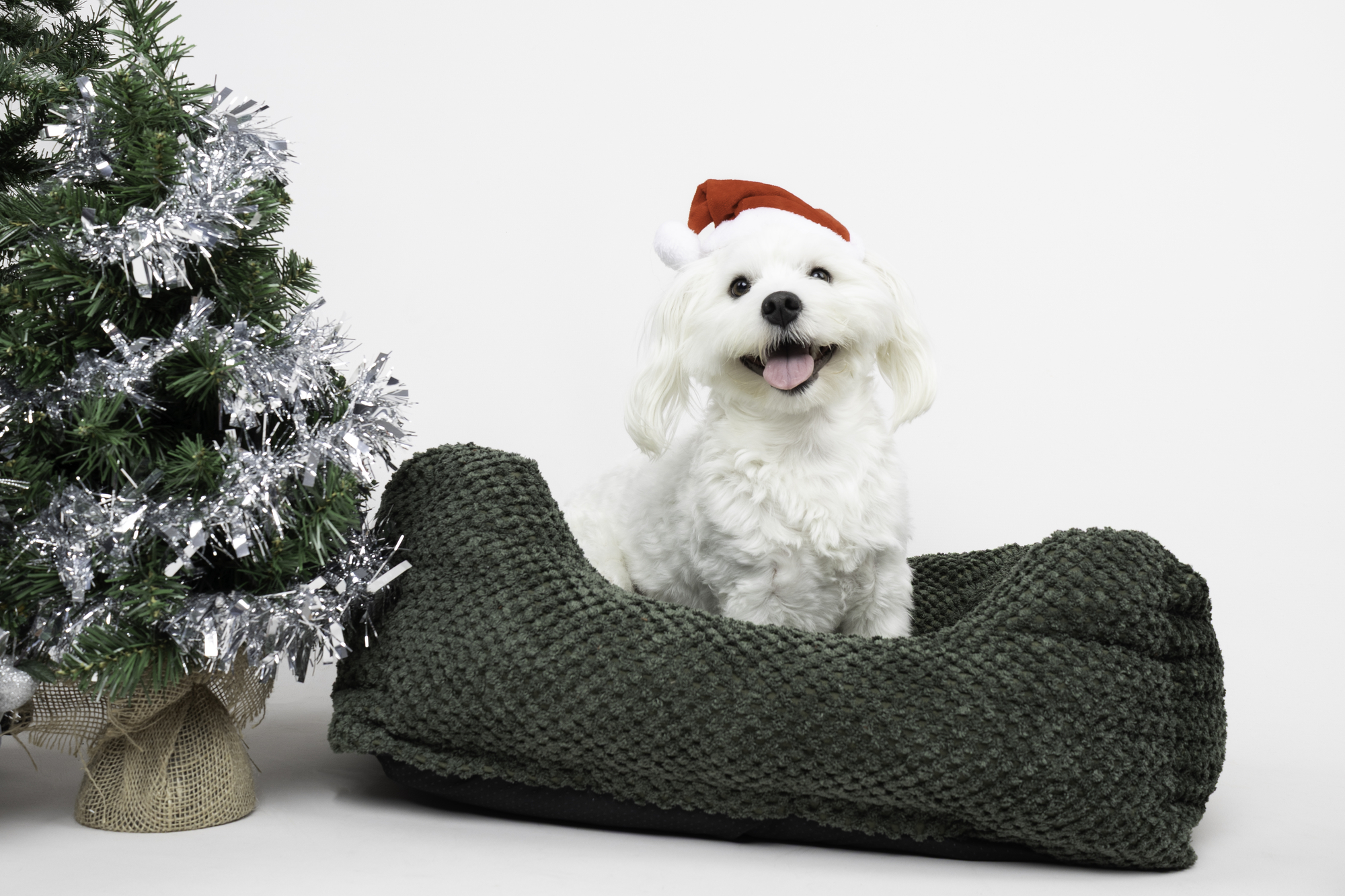 Flamingo Christmas Cap Ponne Red