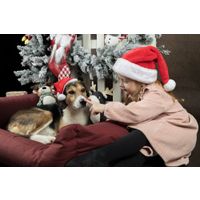 Flamingo Kerst Muts Ponne Rood