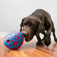 Kong® Kong® Speelgoed Rewards Wally Blauw & Rood