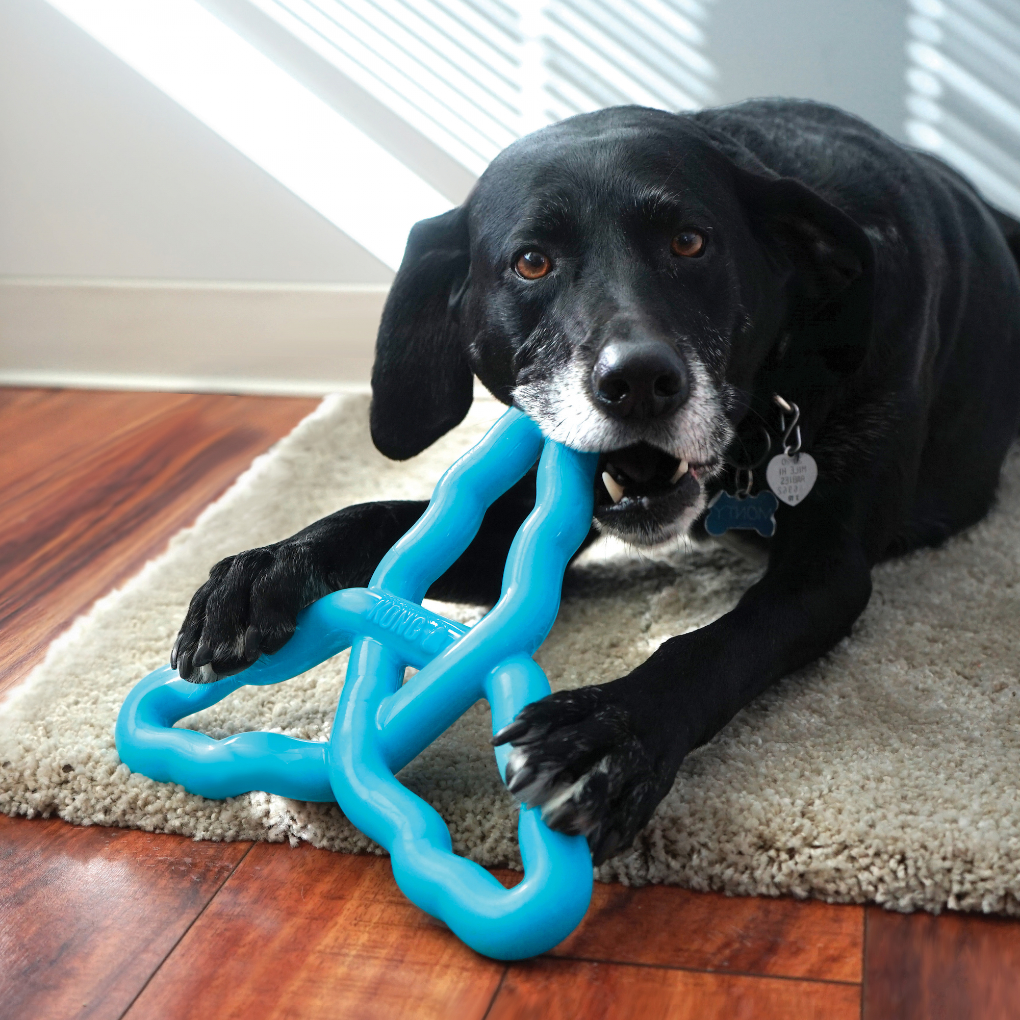 Kong flamingo dog outlet toy