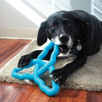Kong® Kong® Speelgoed Flyangle  Meerdere kleuren