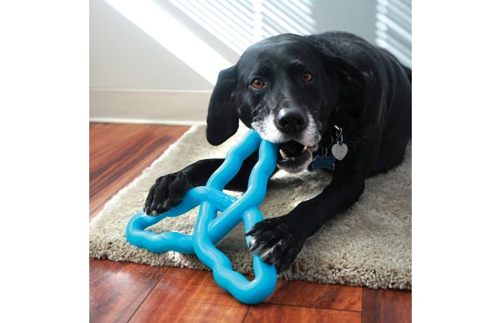 Kong® Kong® Speelgoed Flyangle  Meerdere kleuren