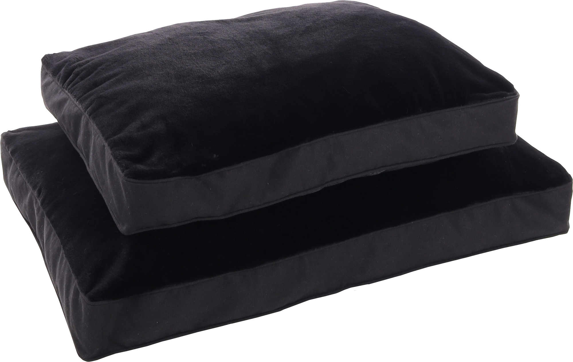 Flamingo Cushion Esmo Rectangle Black