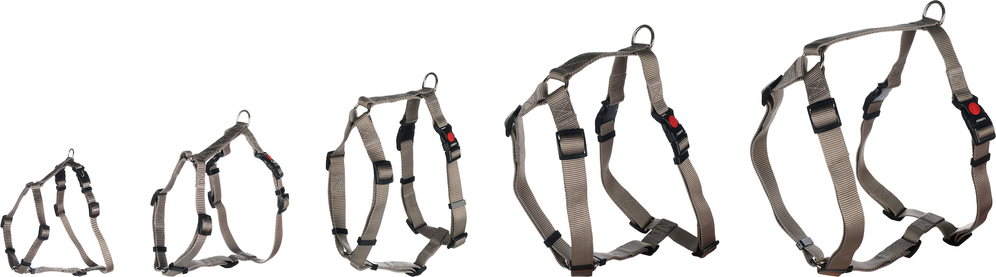 Flamingo Harness H-shape Ziggi Greige