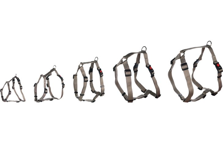 Flamingo Harness H-shape Ziggi Greige