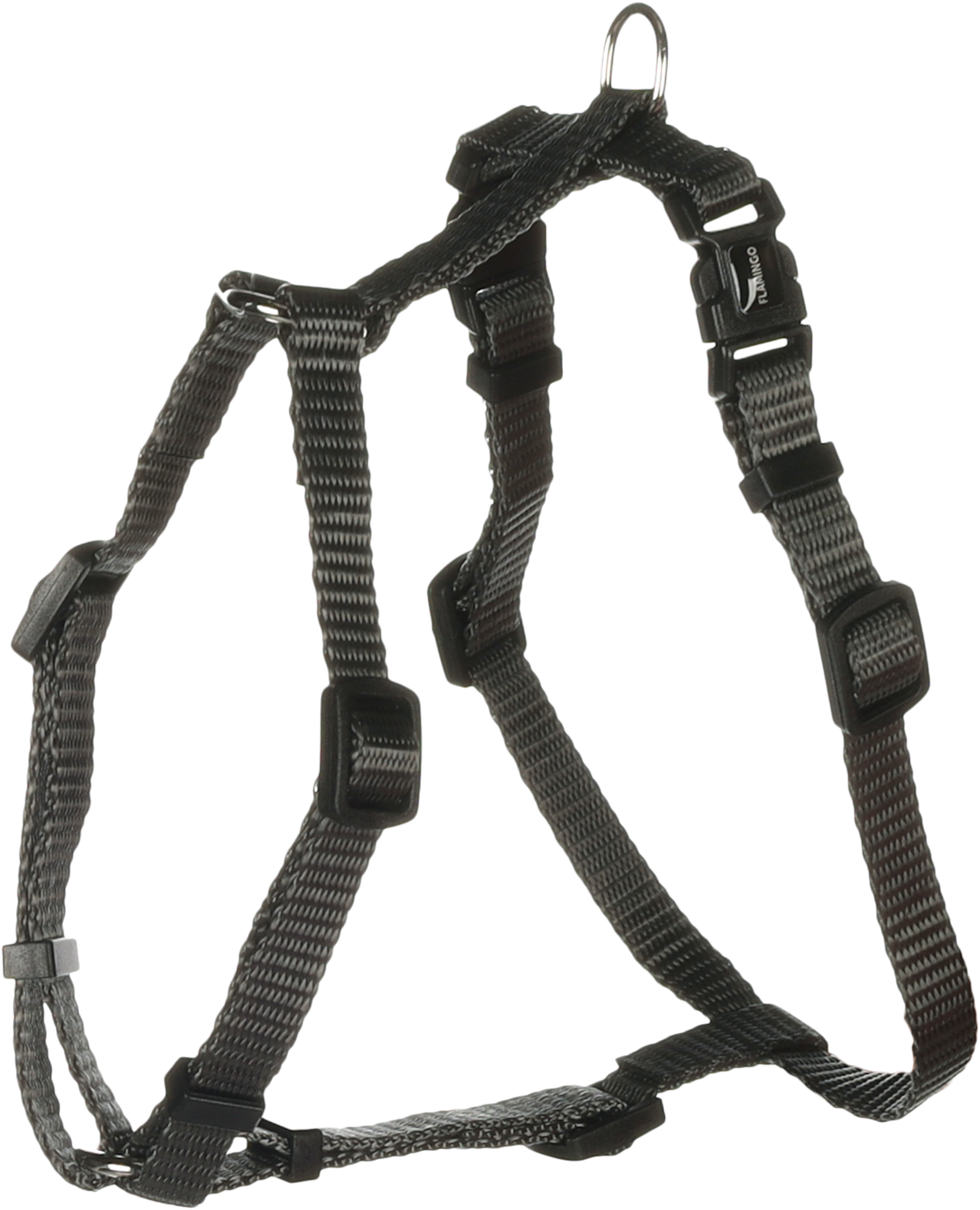 Flamingo Pettorina H-forma Ziggi Grigio scuro