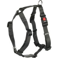 Flamingo Pettorina H-forma Ziggi Grigio scuro