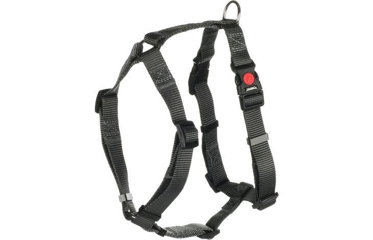 Flamingo Pettorina H-forma Ziggi Grigio scuro