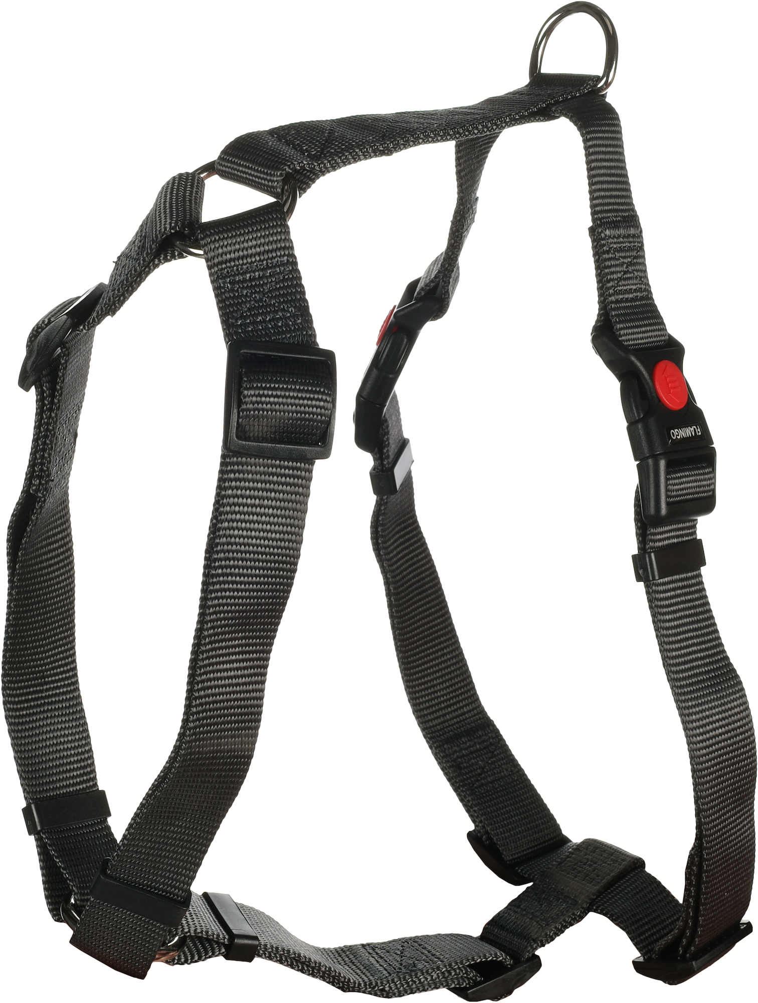 Flamingo Harness H-shape Ziggi Dark grey