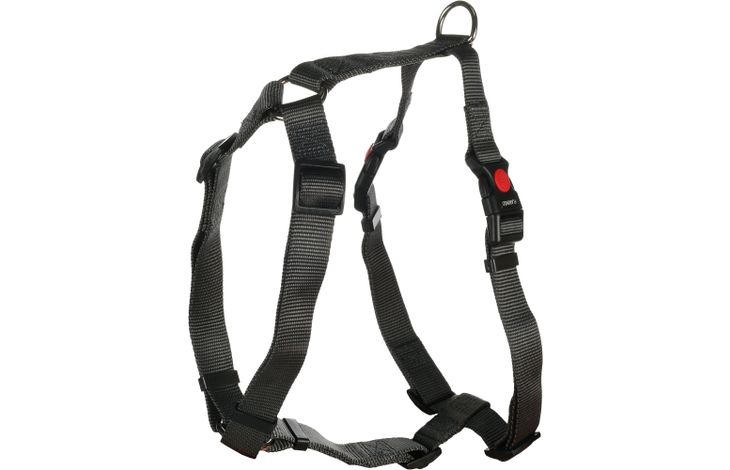 Flamingo Harness H-shape Ziggi Dark grey