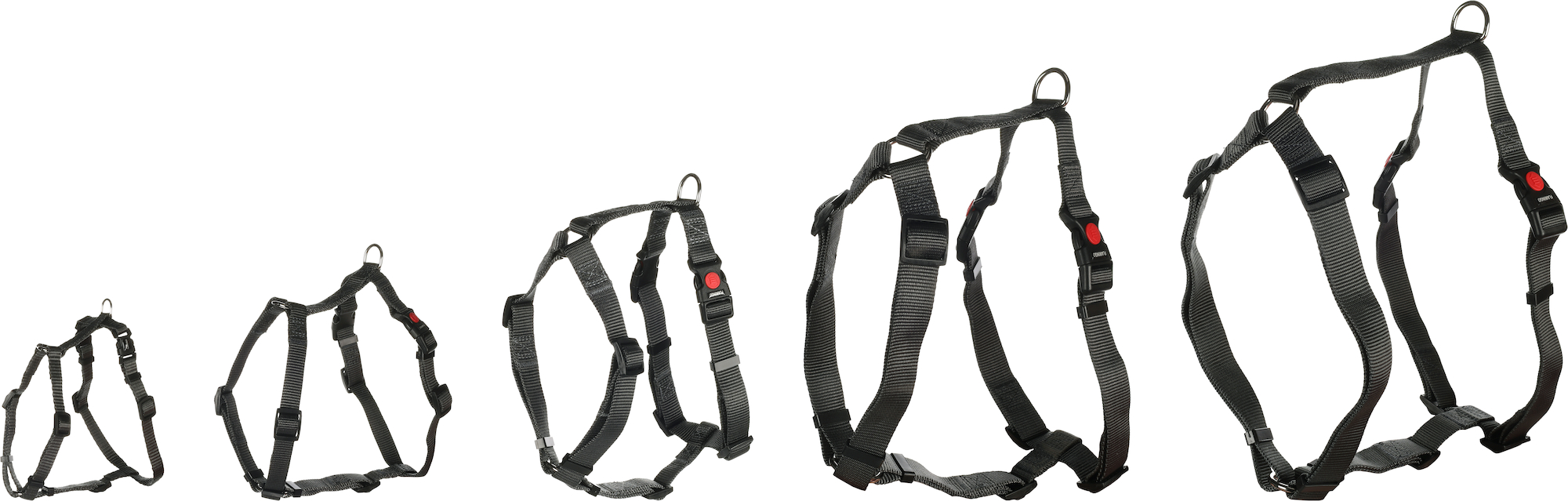 Flamingo Harness H-shape Ziggi Dark grey