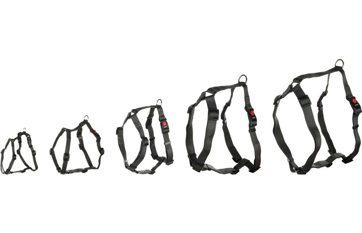 Flamingo Harness H-shape Ziggi Dark grey