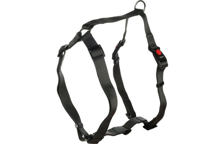 Flamingo Pettorina H-forma Ziggi Grigio scuro