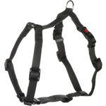 Harness H-shape Ziggi Dark grey