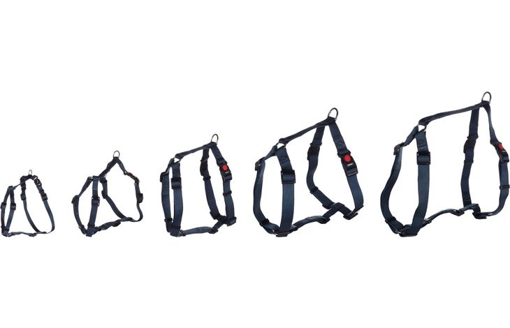 Flamingo Pettorina H-forma Ziggi Azzurro scuro