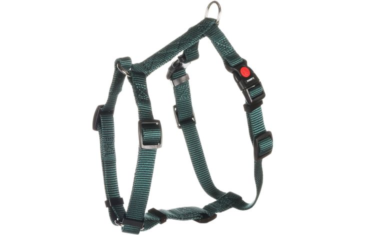 Flamingo  Harness H-Harness Ziggi Dark green