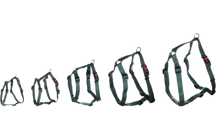 Flamingo Harness H-shape Ziggi Dark green