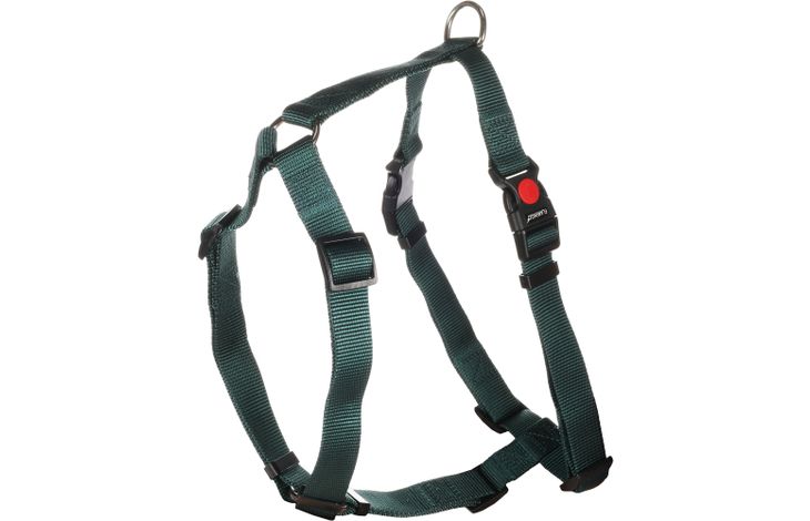 Flamingo Pettorina H-forma Ziggi Verde scuro