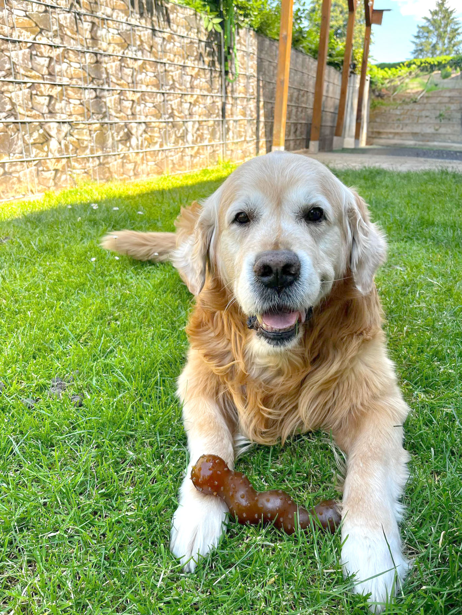 Flamingo Jouet Rubba Serpent Brun