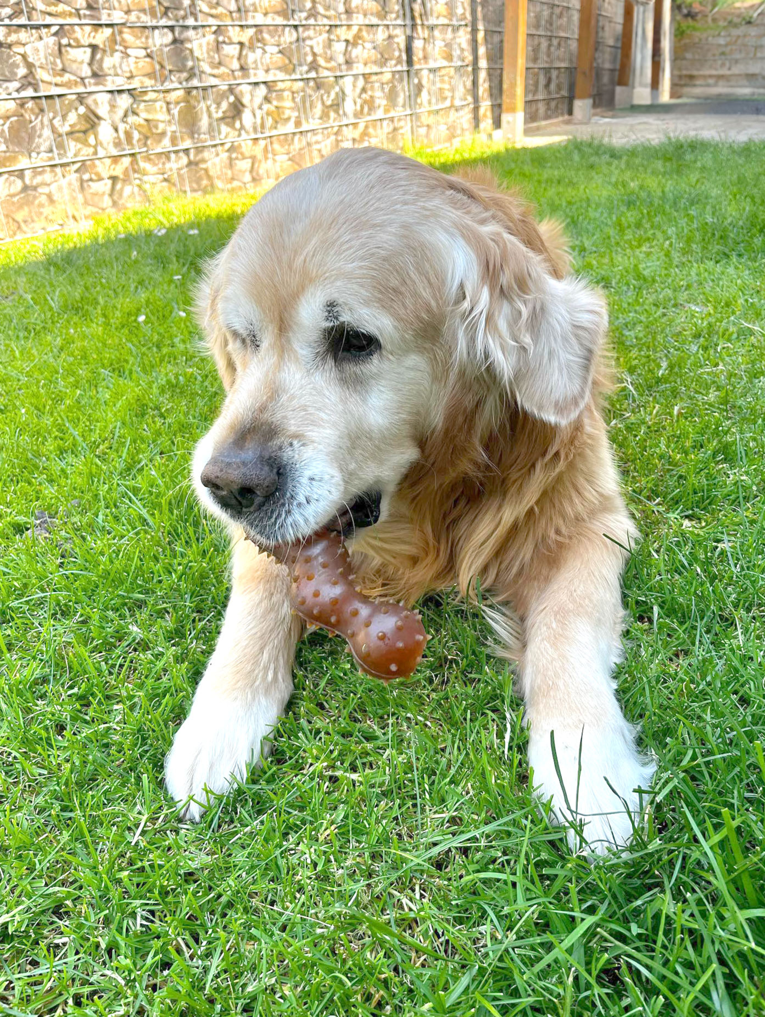 Flamingo Jouet Rubba Serpent Brun