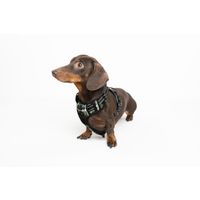 Flamingo Arnés Balou Selvático camuflaje