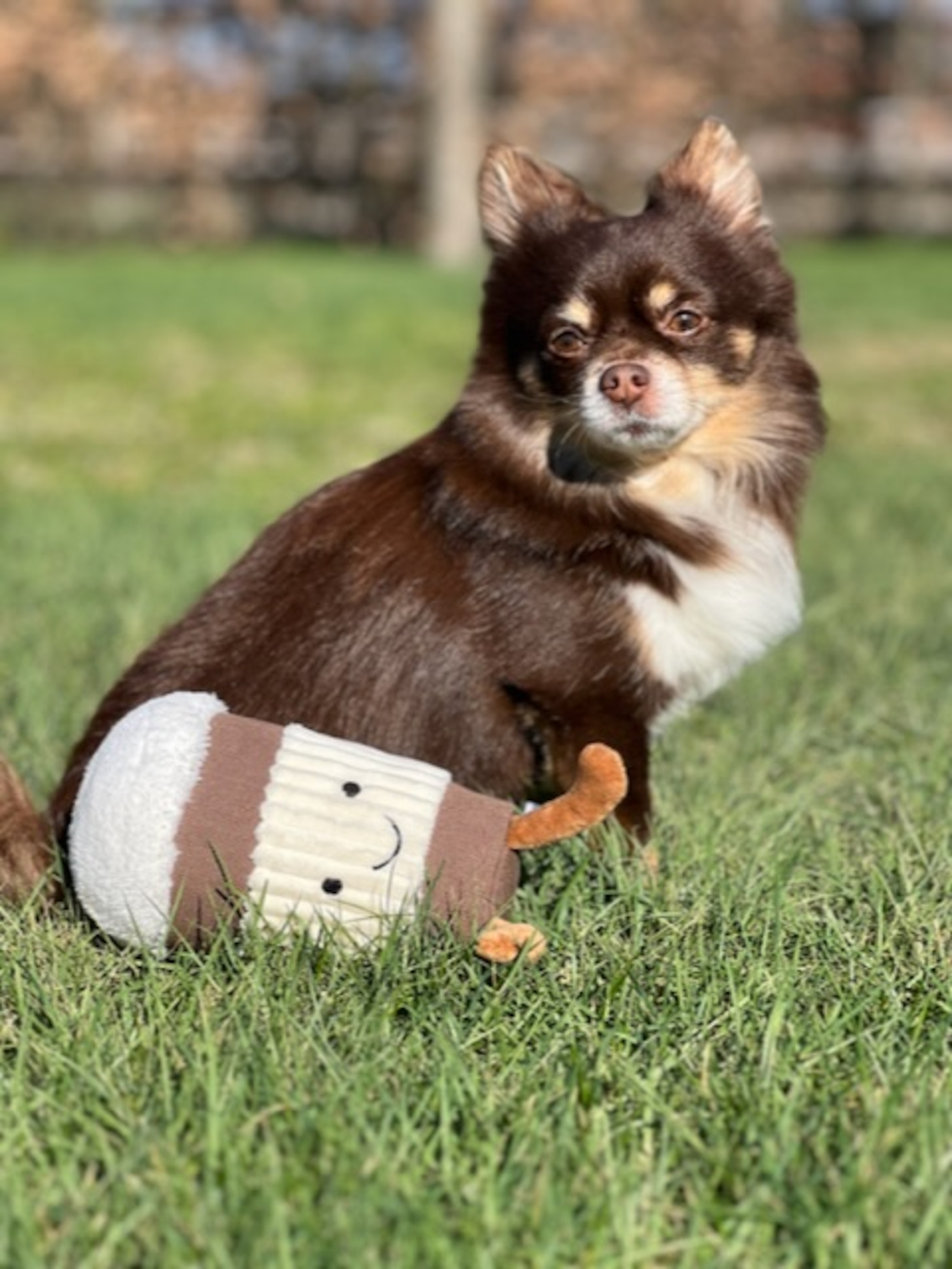 Flamingo Toy Leka Ice cream Brown & White