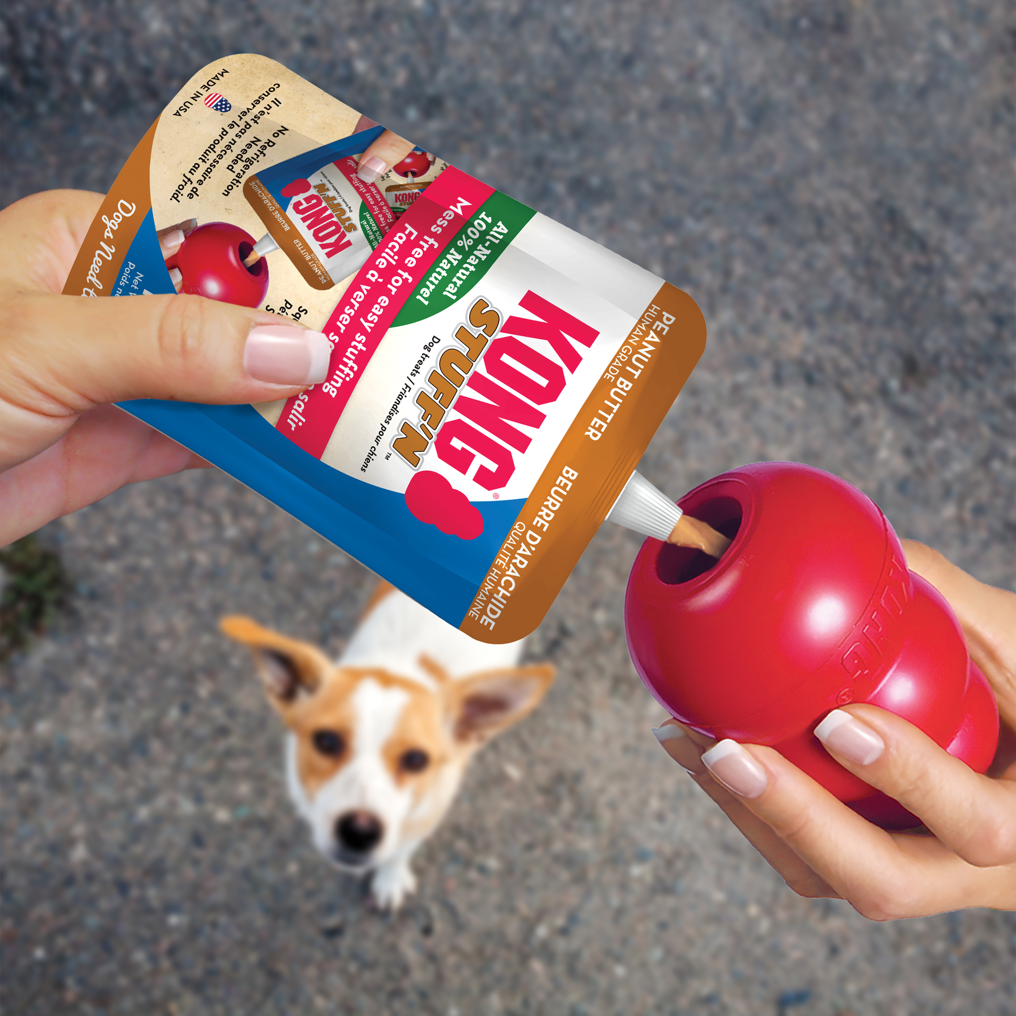 Kong dog peanut butter best sale